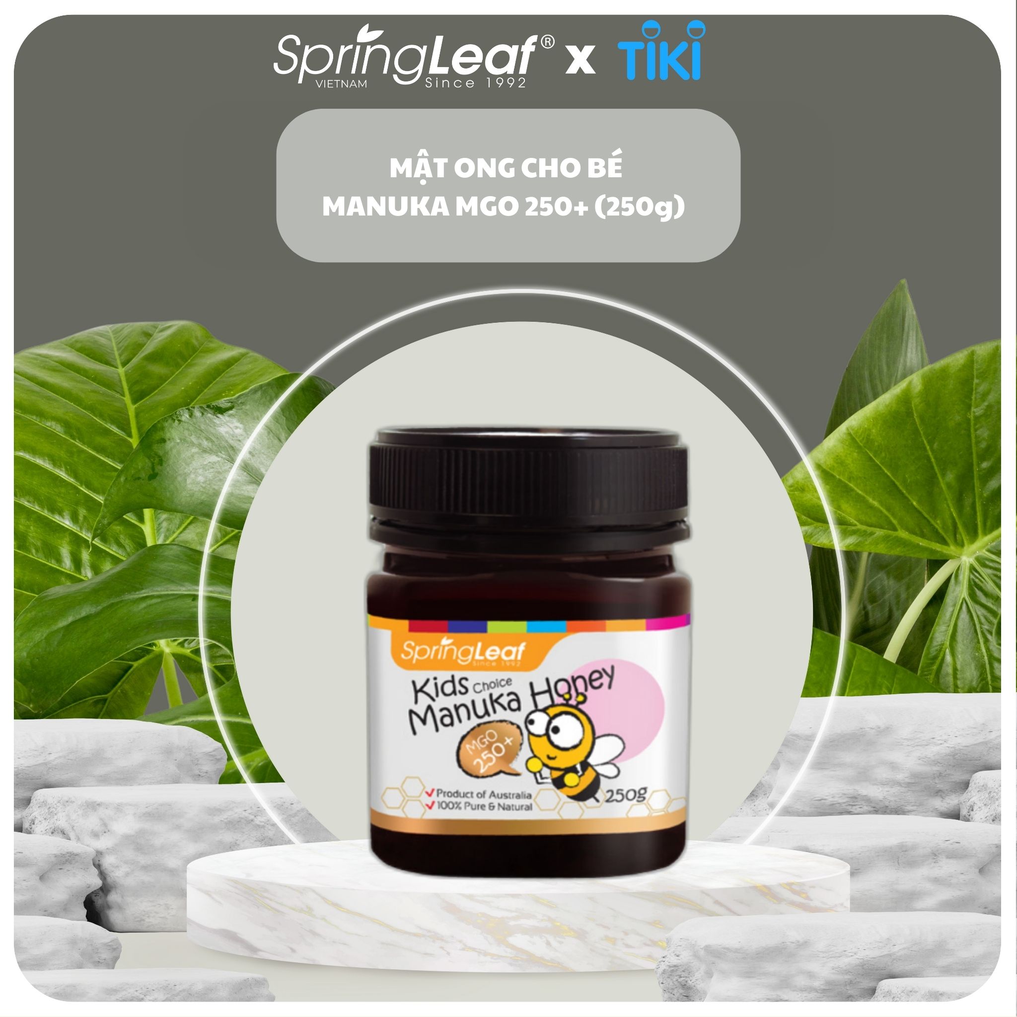 MẬT ONG MANUKA CHO BÉ TỪ 1 TUỔI SPRINGLEAF MANUKA MGO 250+ 250gr