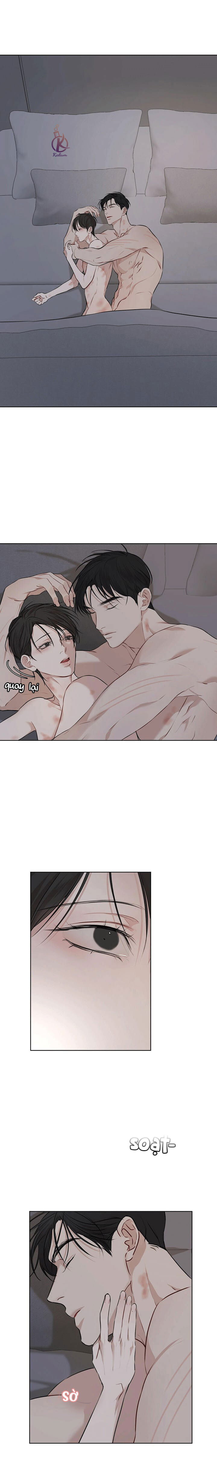 hình thái khởi sinh chapter 42 20