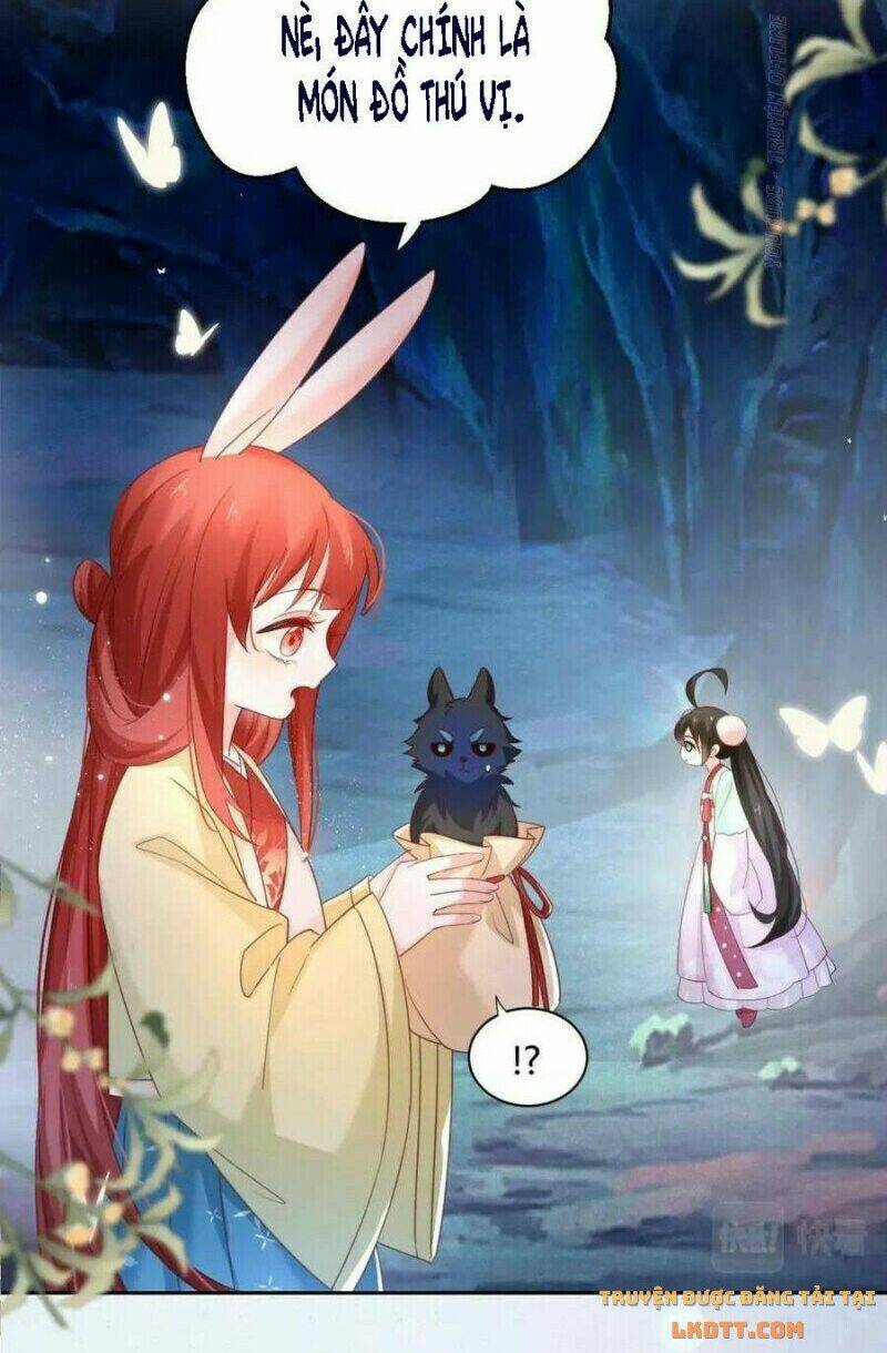 hắc hóa nam chính trực tuyến nuôi thỏ chapter 53 31