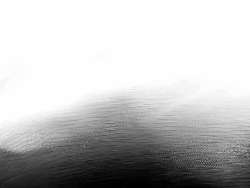 image 251