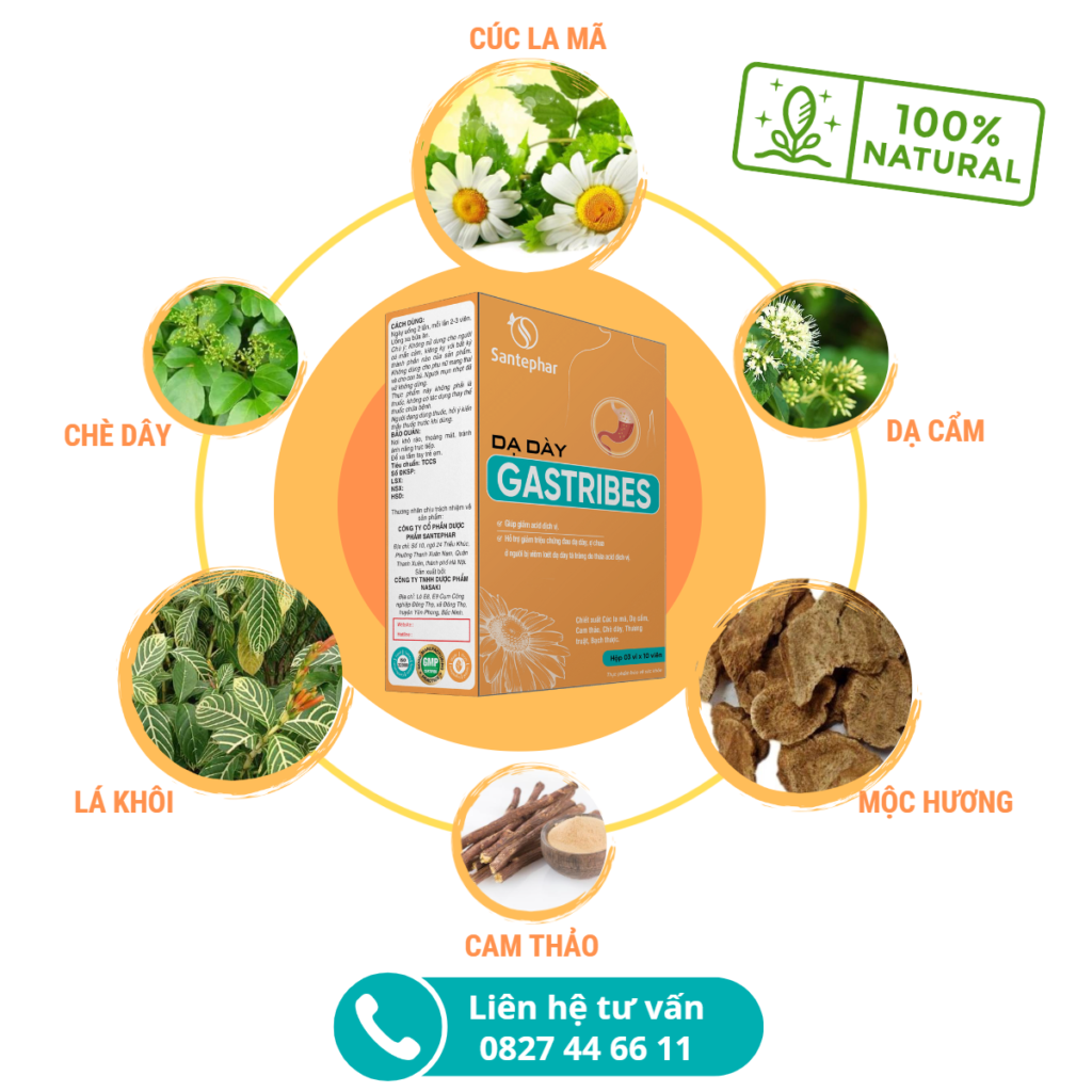Dạ dày Gastribes - Sản phẩm hỗ trợ điều trị viêm loét dạ dày tá tràng hoàn toàn từ thiên nhiên