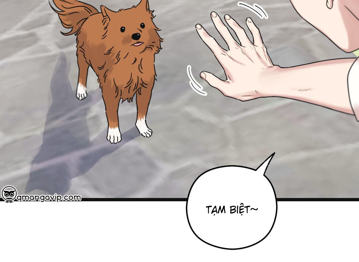 tương phùng chapter 33 97