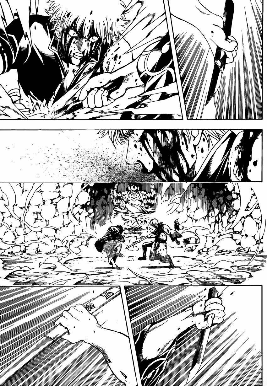 gintama - linh hồn bạc chapter 520 6