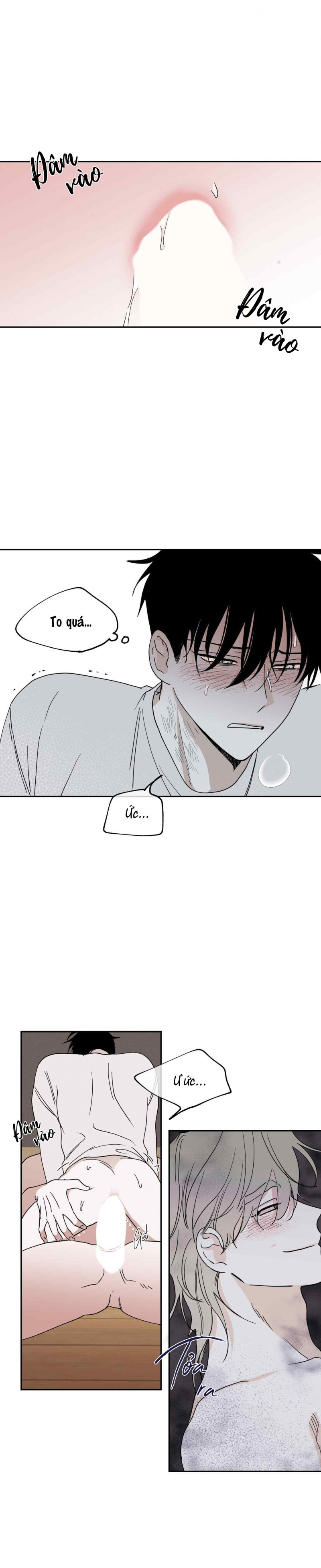 đêm bên bờ biển chapter 11 12