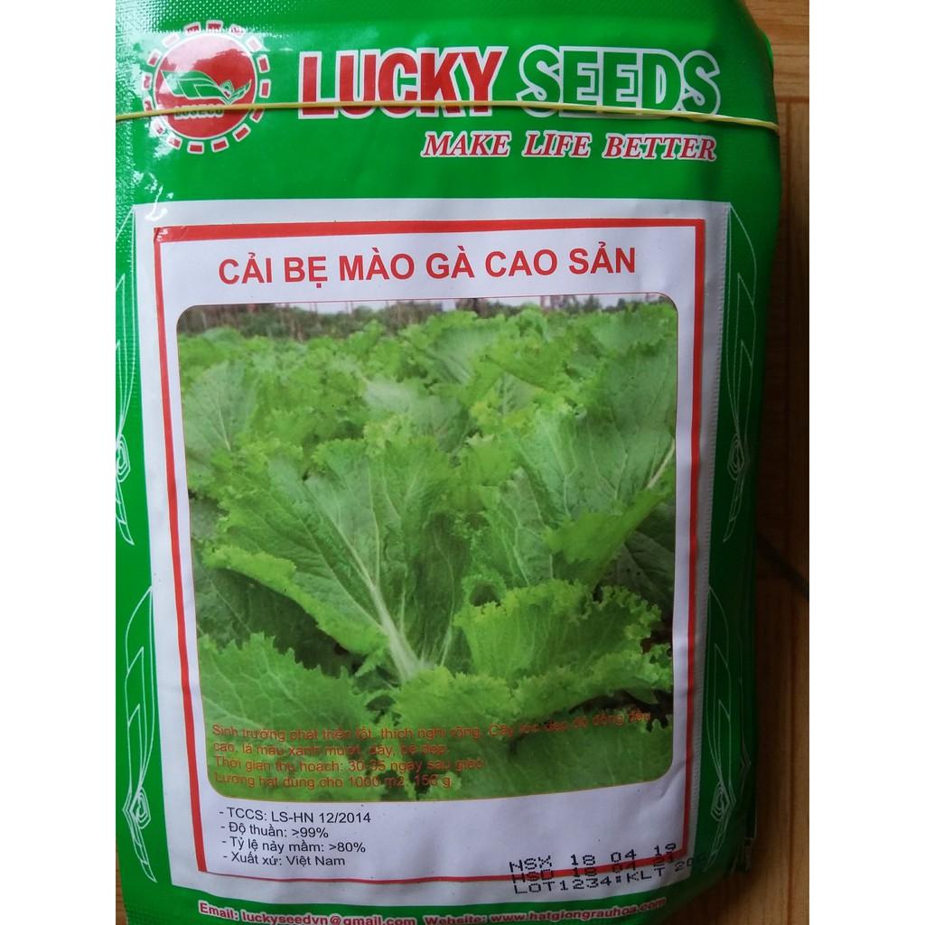 Hạt giống cải bẹ mào gà cao sản