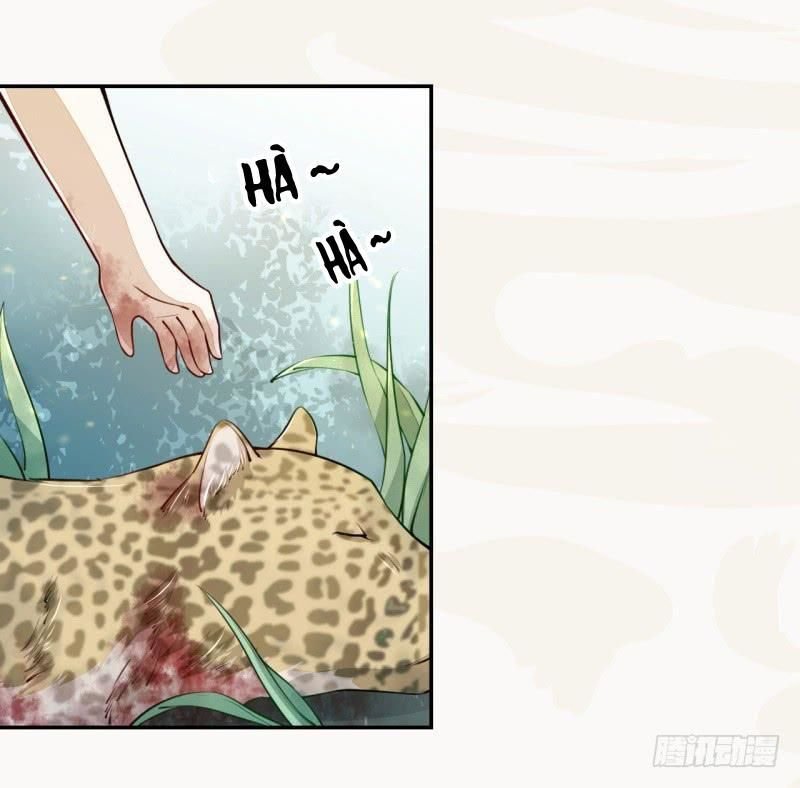 tuyệt thế luyện đan sư chapter 33 27