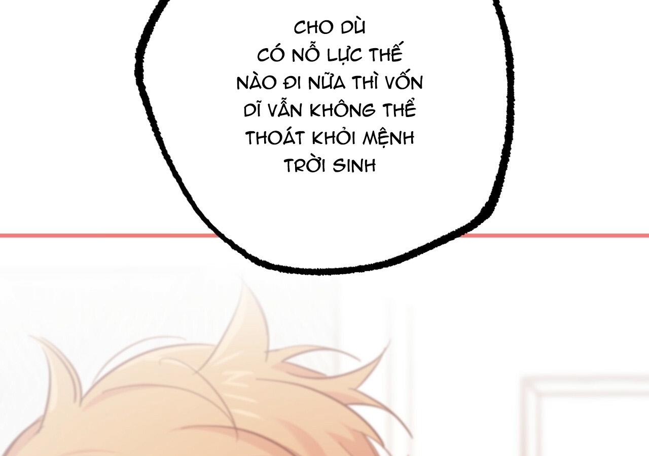 đàn thỏ của habibi chapter 21 187