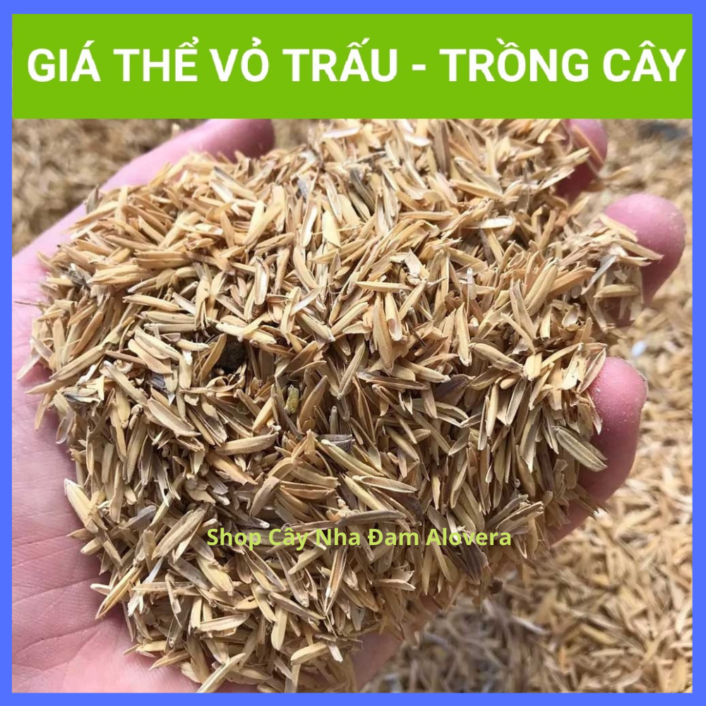 Vỏ Trấu- Vỏ Lúa Trồng Cây