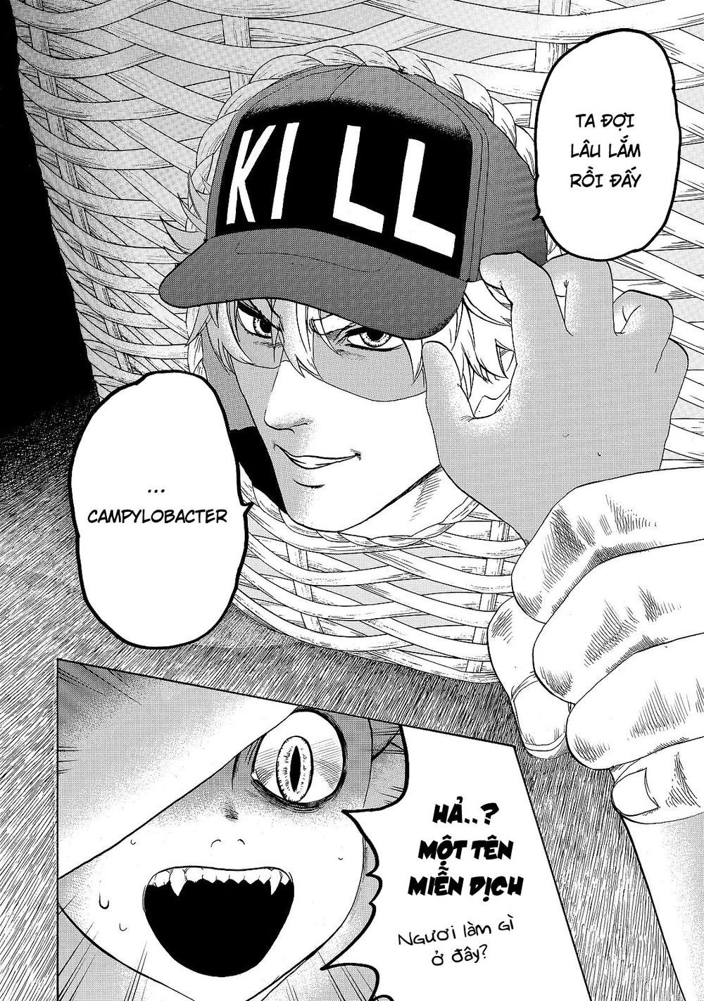 hataraku saibou! chapter 19 24