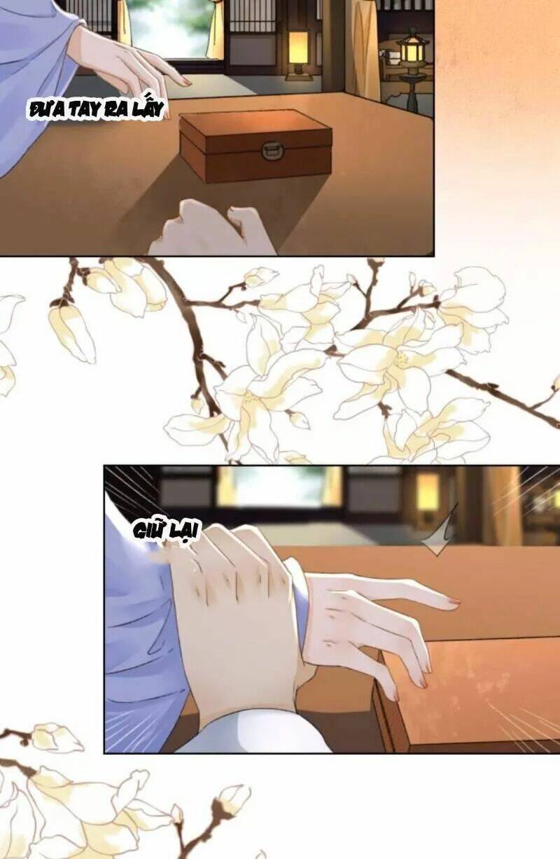 sủng phi của vương chapter 157 5