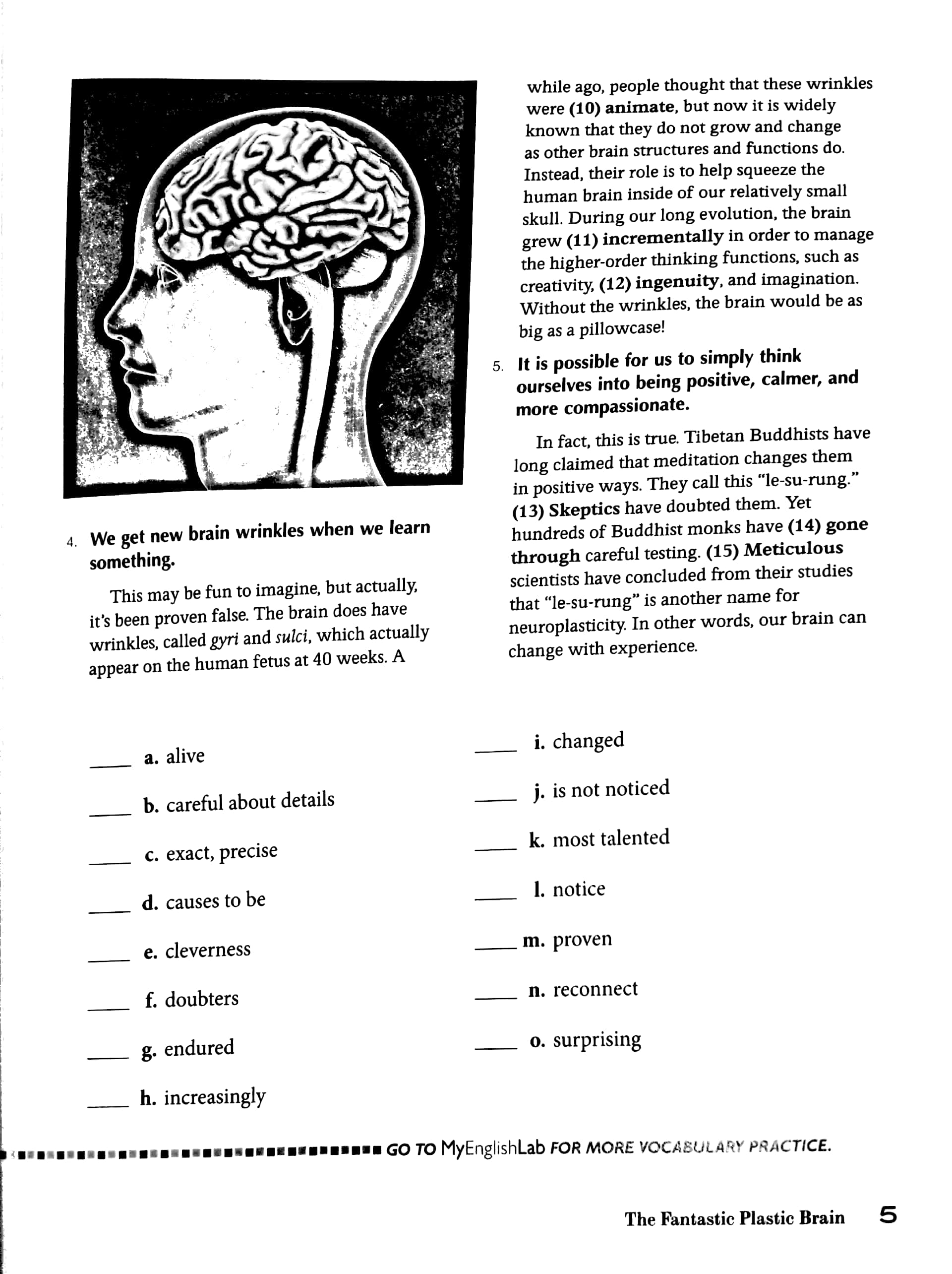 Northstar Listening and Speaking: Student Book 5