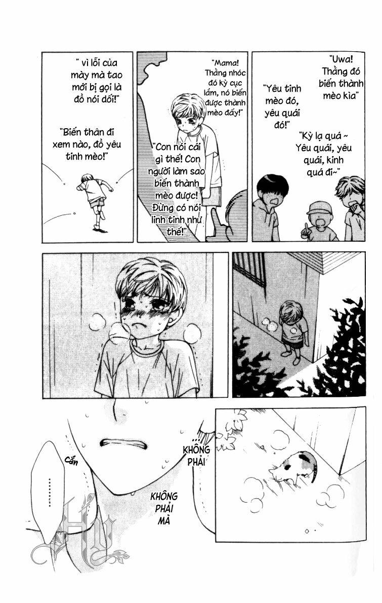 neko neko honey chapter 5 8