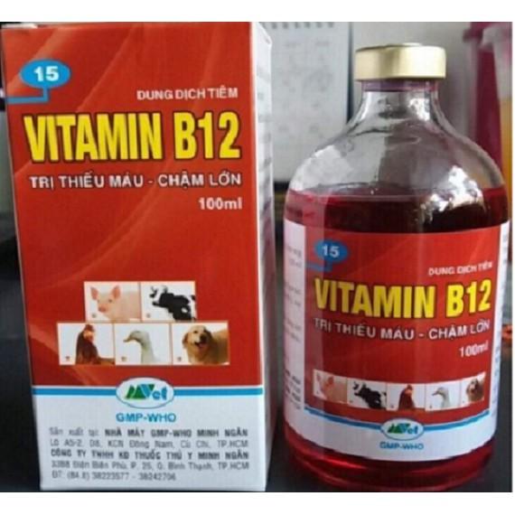Vitamin B12 giúp giải độc chống sốc cho Lan chai 100ml