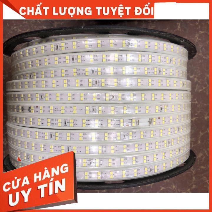 Led Cuộn 220V 100m 2835 - 2 hàng,Led Cuộn 220V,Led Chăng Cây,Led Quẫn Cây