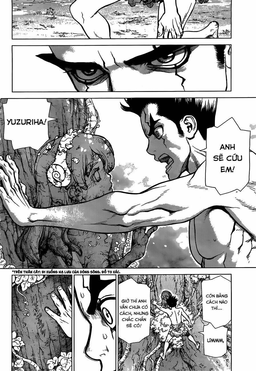 dr.stone - hồi sinh thế giới chapter 1 39
