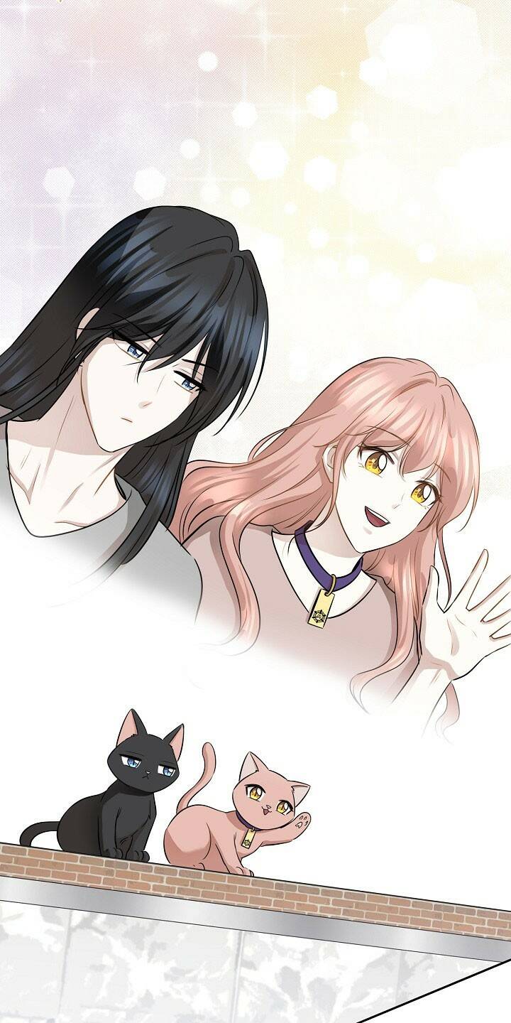 cuộc sống kỳ thú chapter 91 56