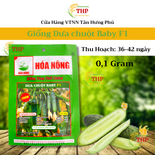 Hạt giống Dưa Chuột Baby F1 | Hạt Giống | gói 0.1gr