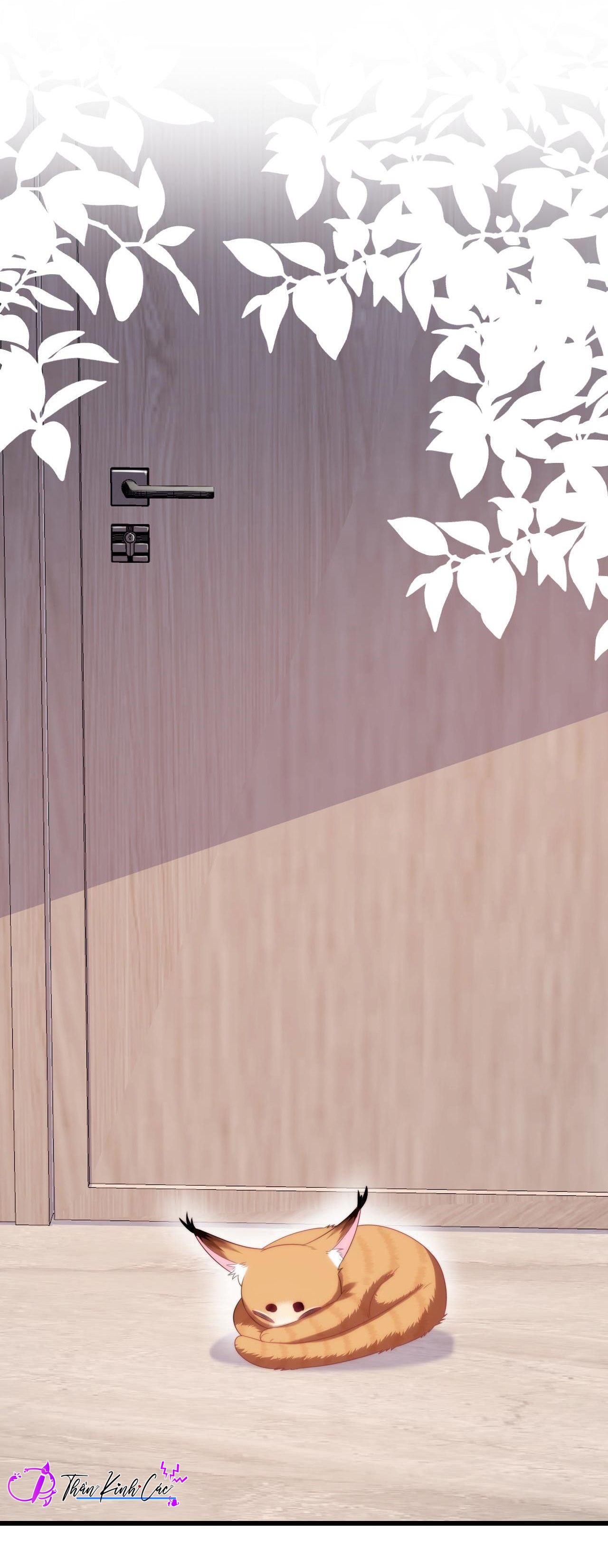 mèo hoang nhỏ của học bá quá chọc người rồi chapter 35 1