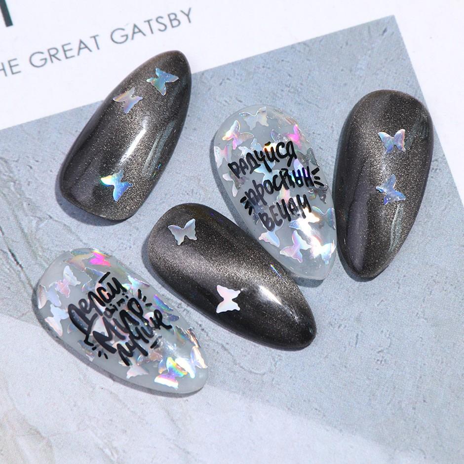 Khay Bướm Hologarm | 12 Màu Đắp Ẩn