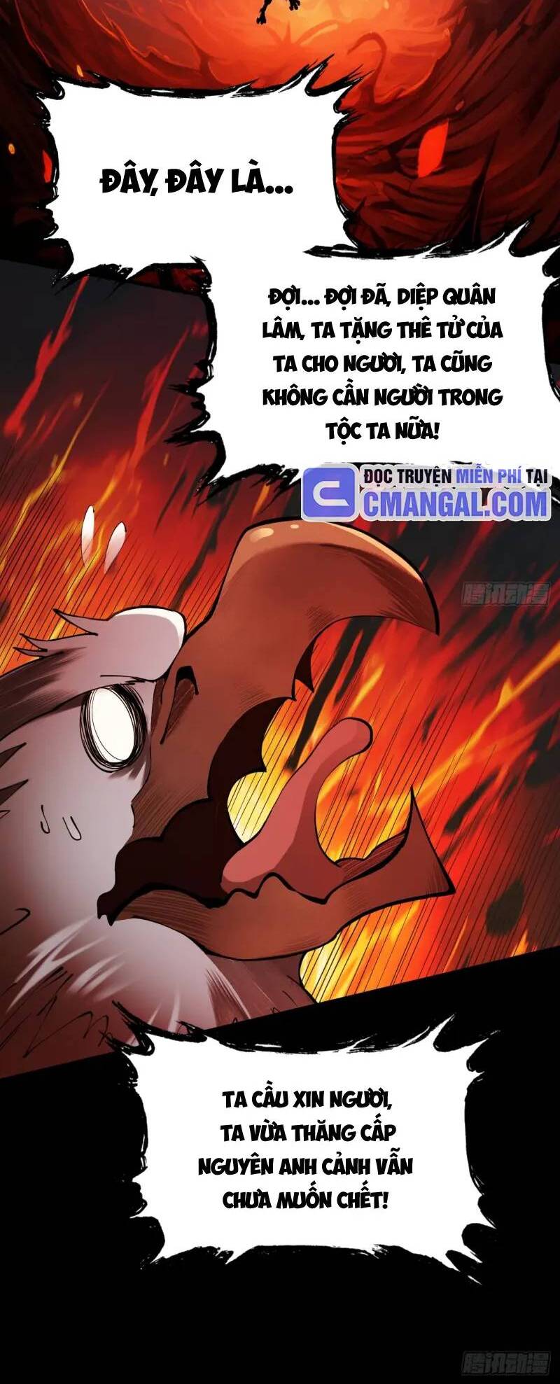 gặp mạnh thì càng mạnh, tu vi của ta không giới hạn chapter 2 12