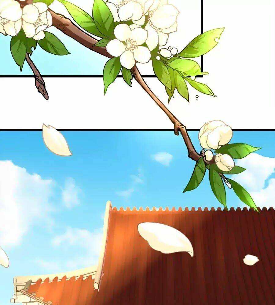 quyền phi chi đế y phong hoa chapter 1.2 39