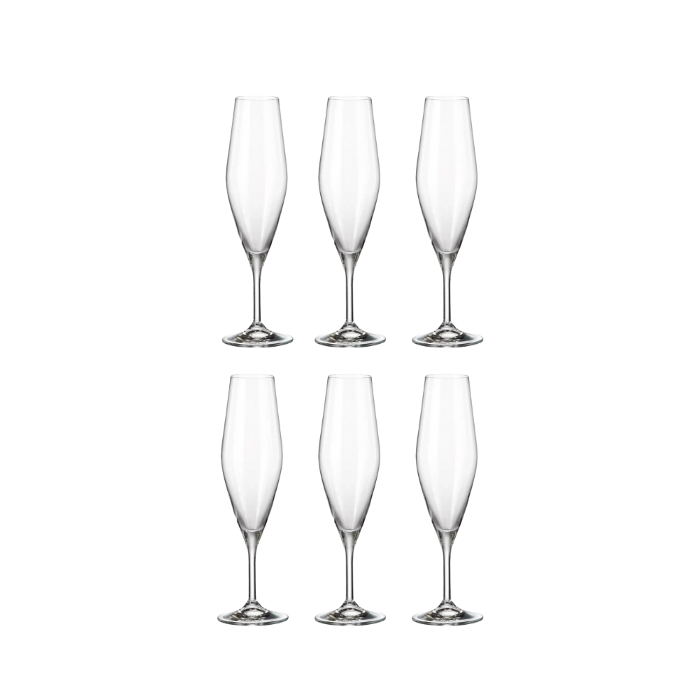 Set 6 ly champagne Gavia 210ml Crystal Bohemia Hàng chính hãng