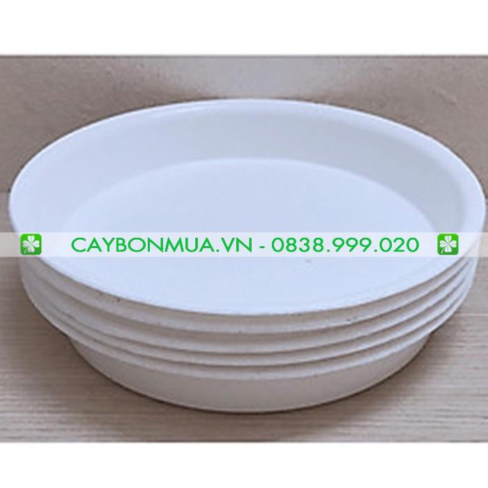 Đĩa nhựa tròn lót chậu - đĩa lót chậu bằng nhựa cao cấp - đĩa lót chậu trồng cây - đĩa kê chậu trồng cây hình tròn