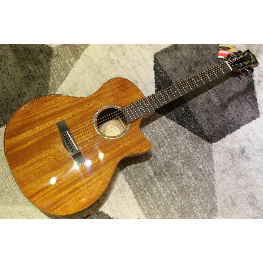 Đàn Guitar Acoustic TAKAHAMA AT230CE