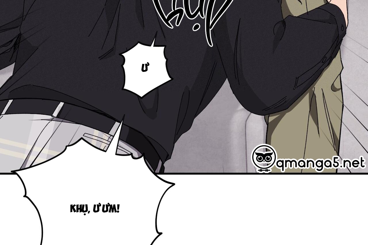 chàng dâu nhà họ kang chapter 34 124