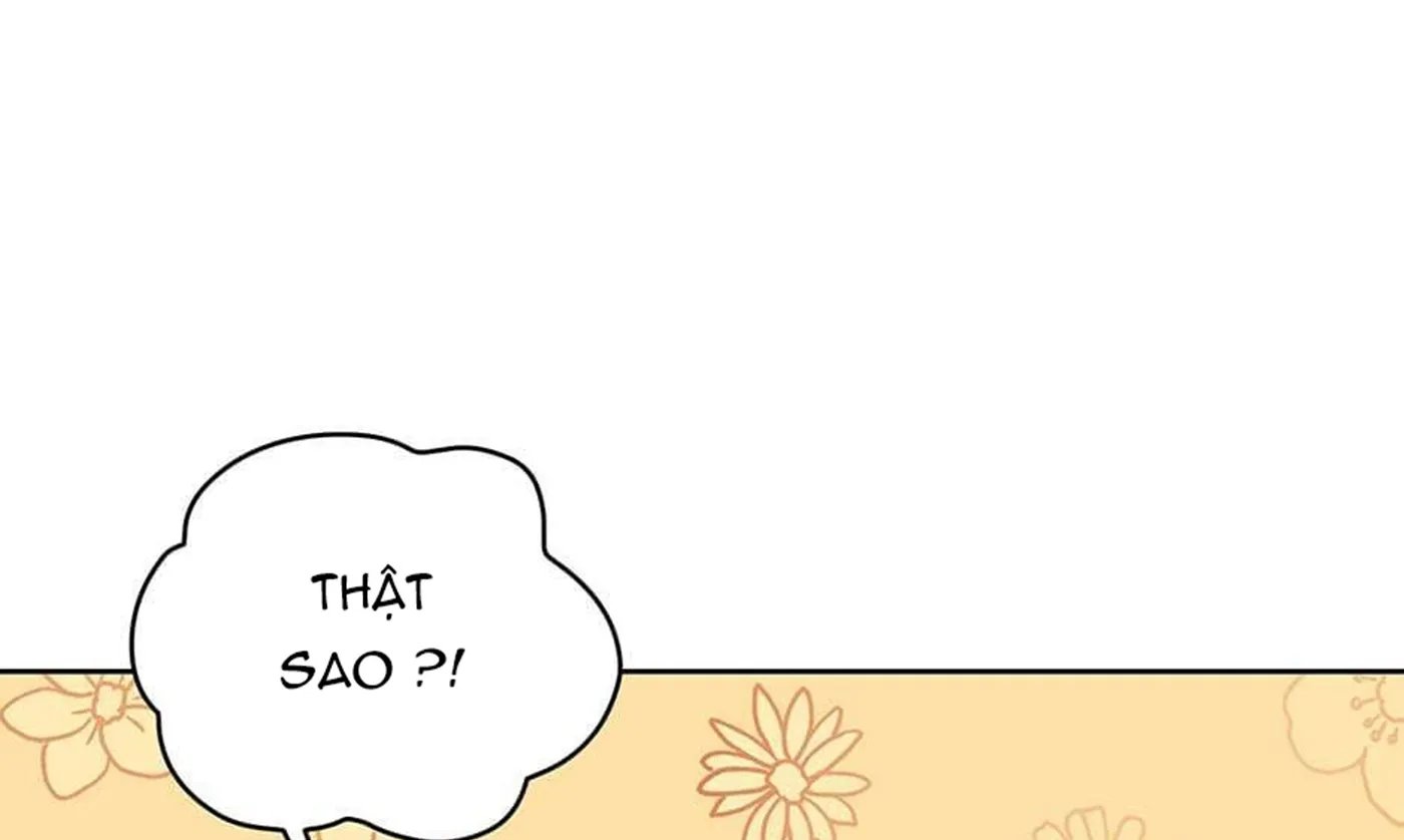 chuyện quái gì với giấc mơ đó vậy chapter 26 242
