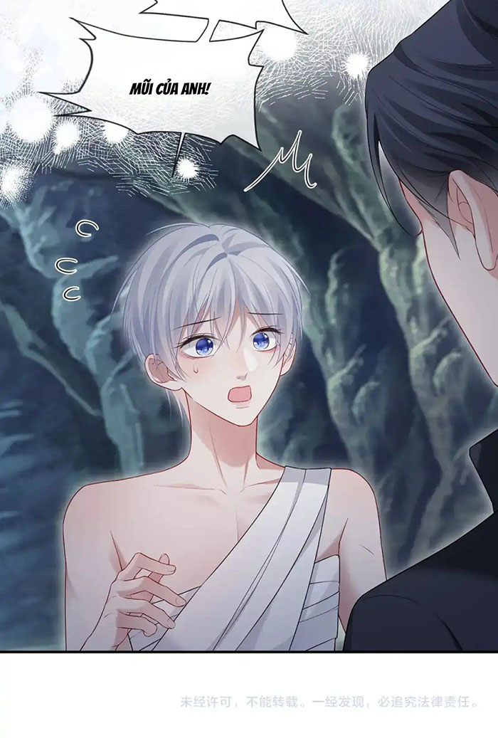 xin hãy ly hôn chapter 126 35