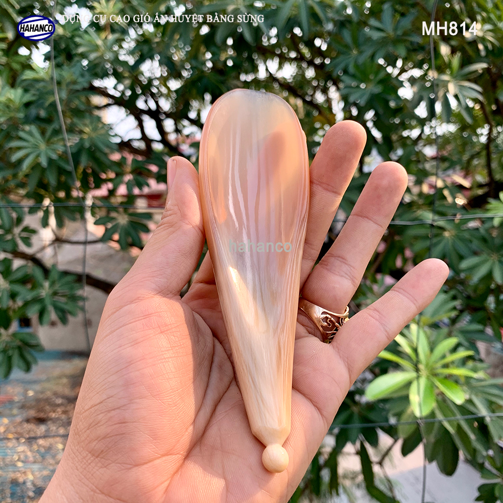 Dụng cụ cạo gió ấn huyệt chuyên dụng bằng sừng Vât dụng thiết yếu trong ngôi nhà của bạn