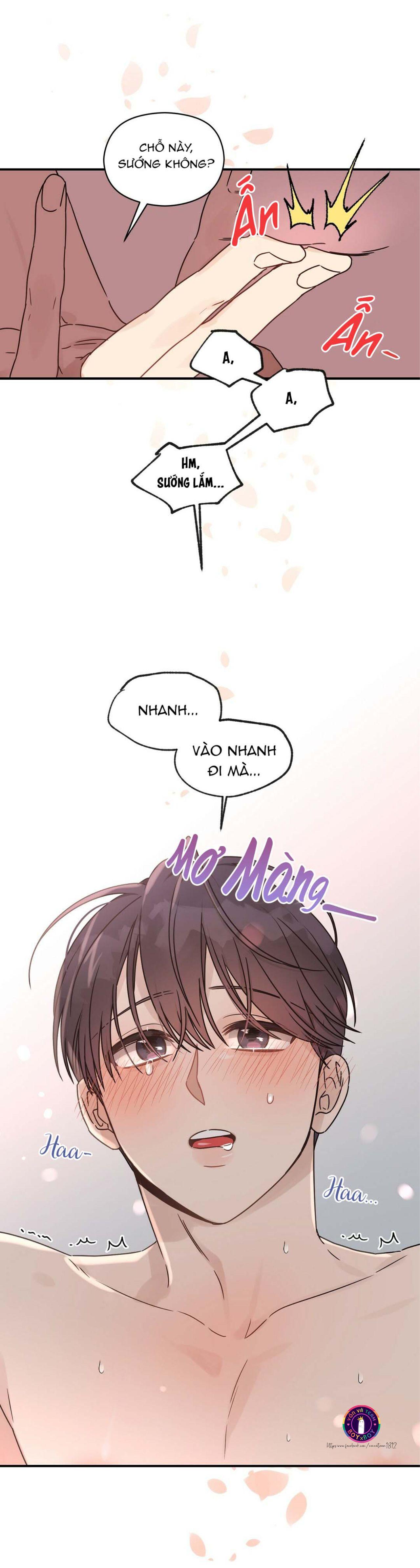 omega complex (end) chapter 19 14