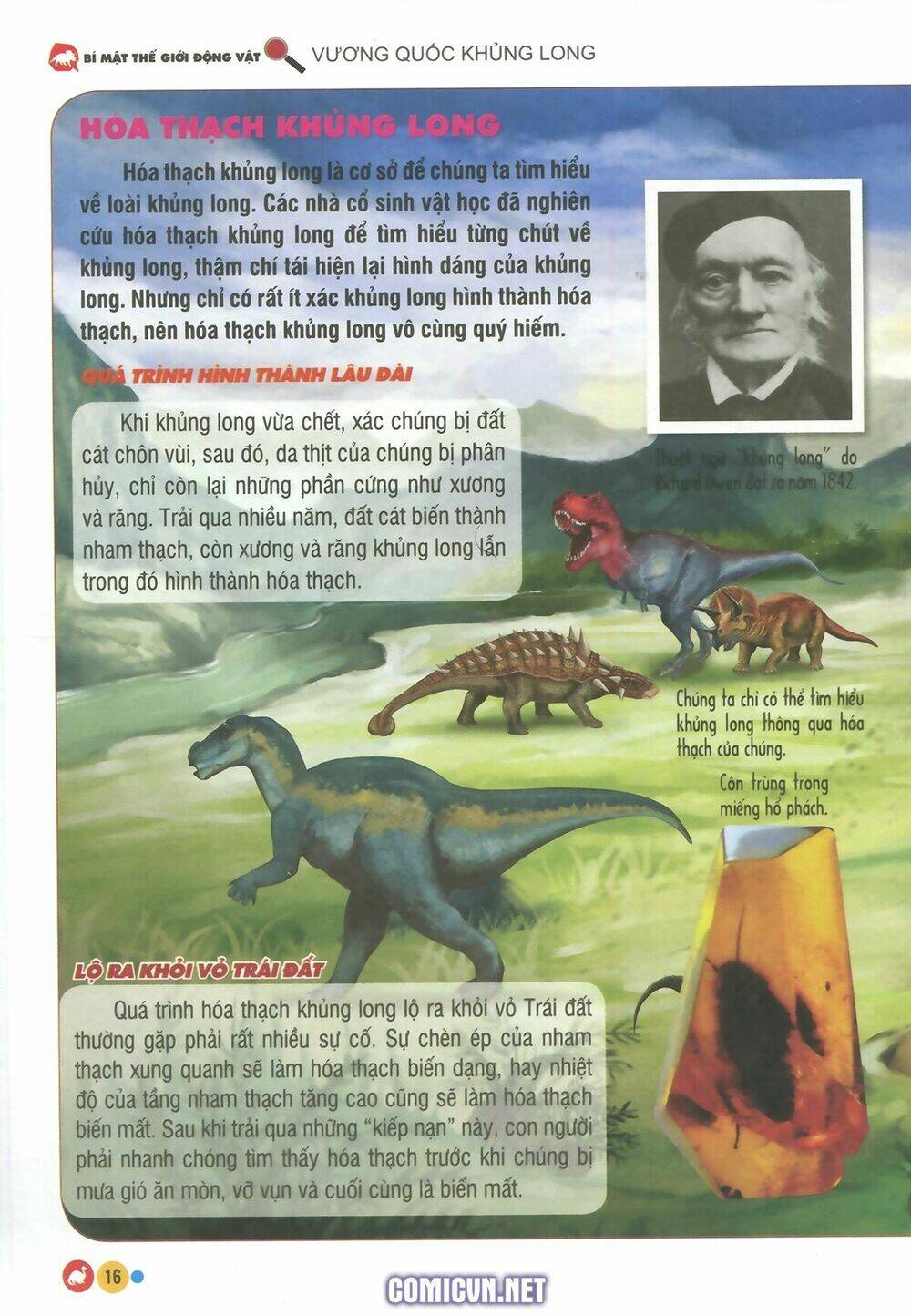 vương quốc khủng long chapter 1 12