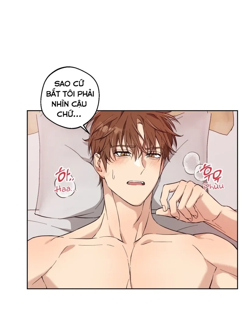 hãy bảo vệ tình yêu thuần khiết! chapter 7 66