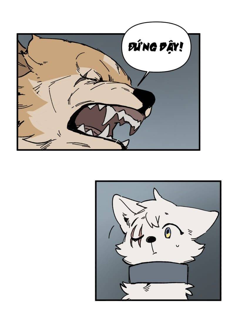 lumine - cội nguồn ánh sáng chapter 149 7