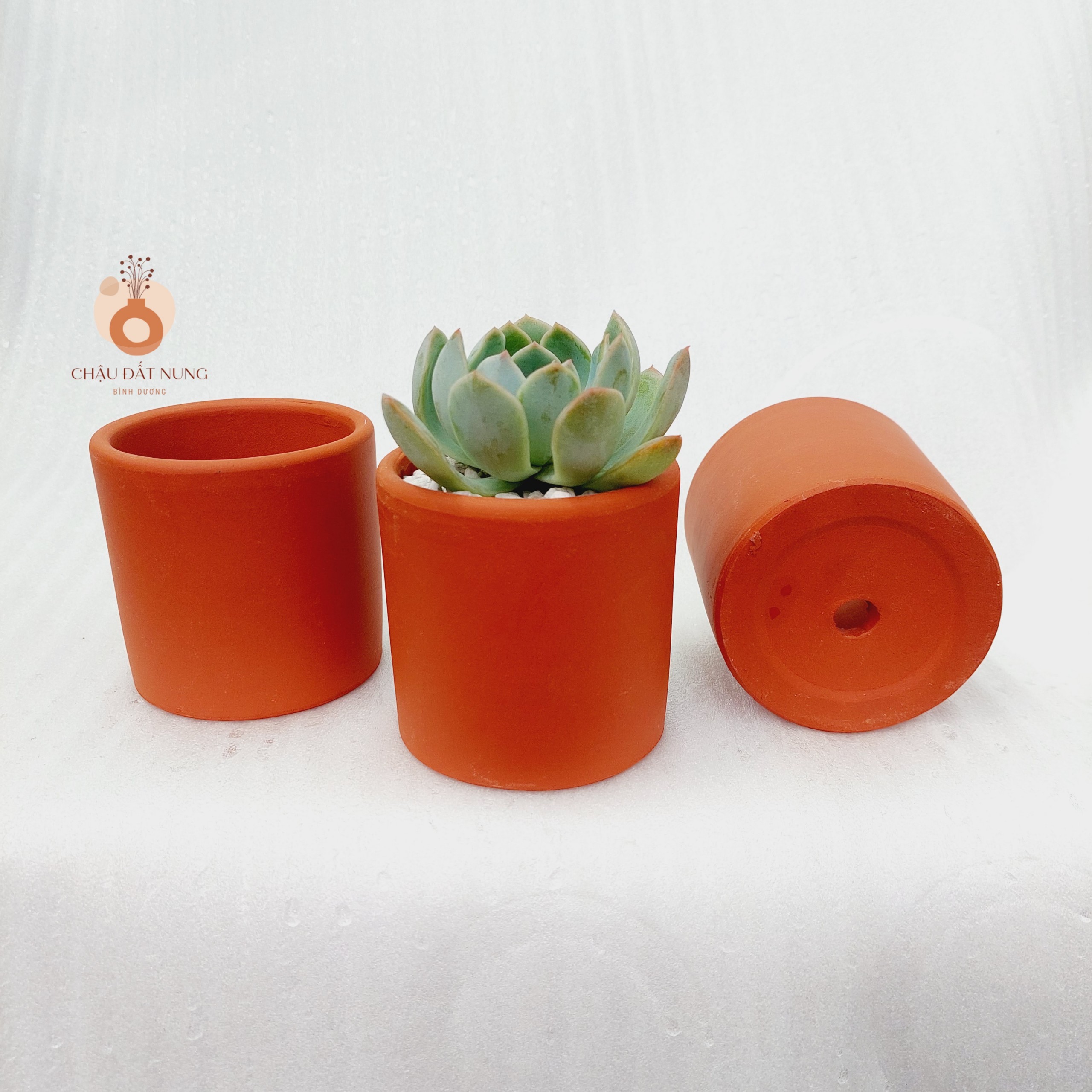Chậu đất nung Bình Dương - Trụ 75, miệng chậu 7.5cm, chiều cao 7.5cm
