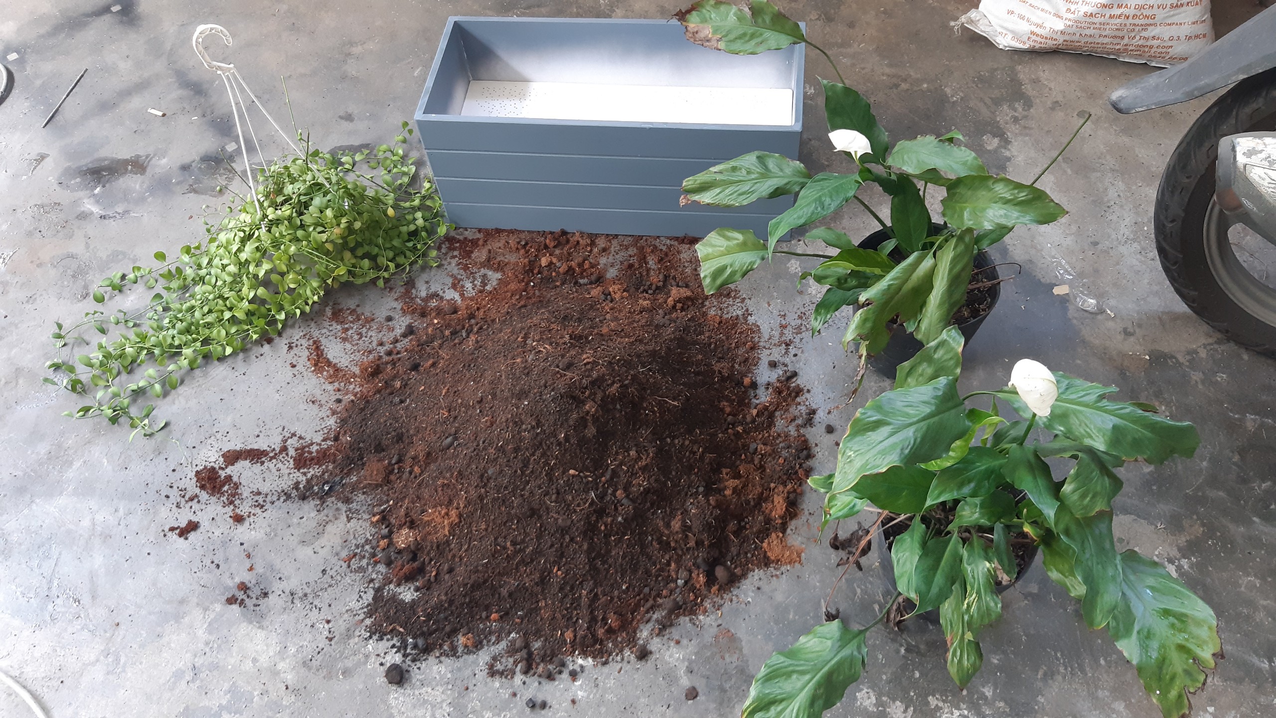 Chậu nhựa composite 80x30x30