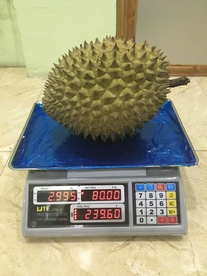 Cân Điện Tử Tính Tiền UPA-Q 30 kg