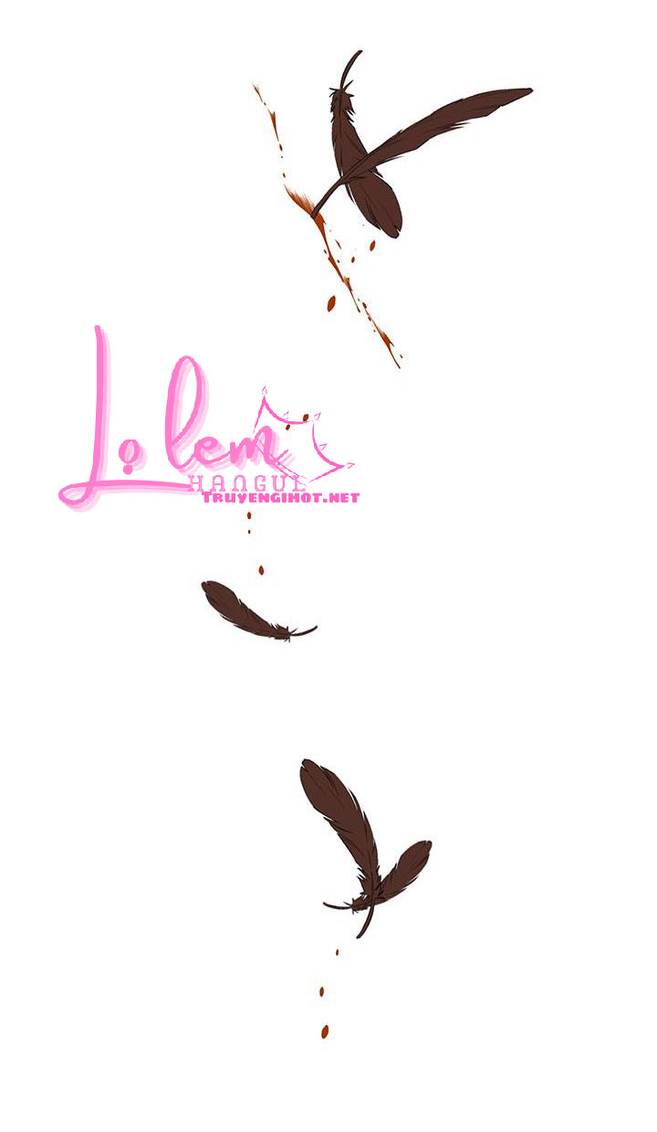 công chúa của loài chim chapter 37.2 28