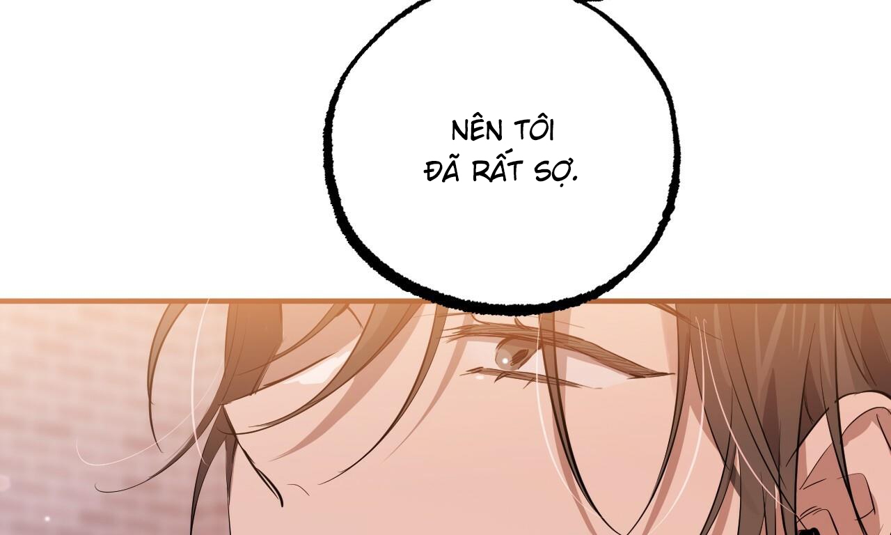 những chú thỏ của hapypy chapter 51 81