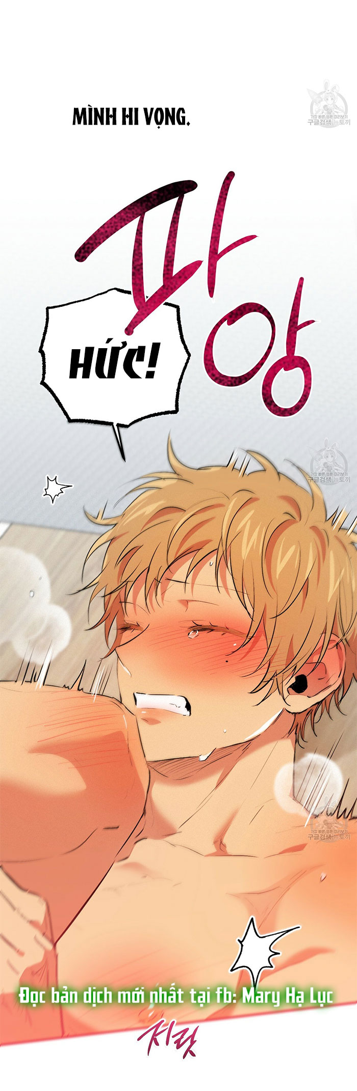 những chú thỏ của hapypy chapter 43 62