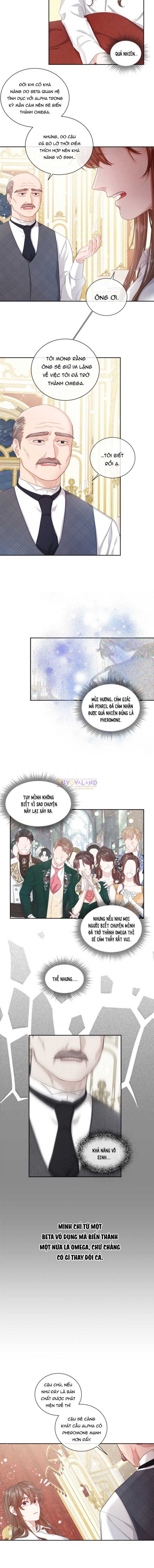 tiểu bá tước beta đã thay đổi chapter 2 4