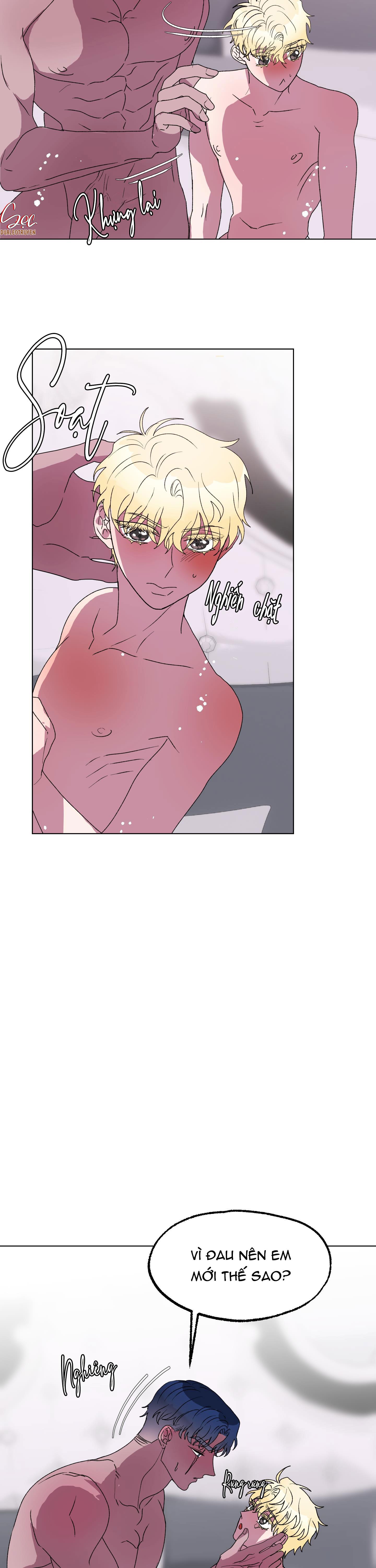 cá mập và cô dâu thỏ chapter 13 4