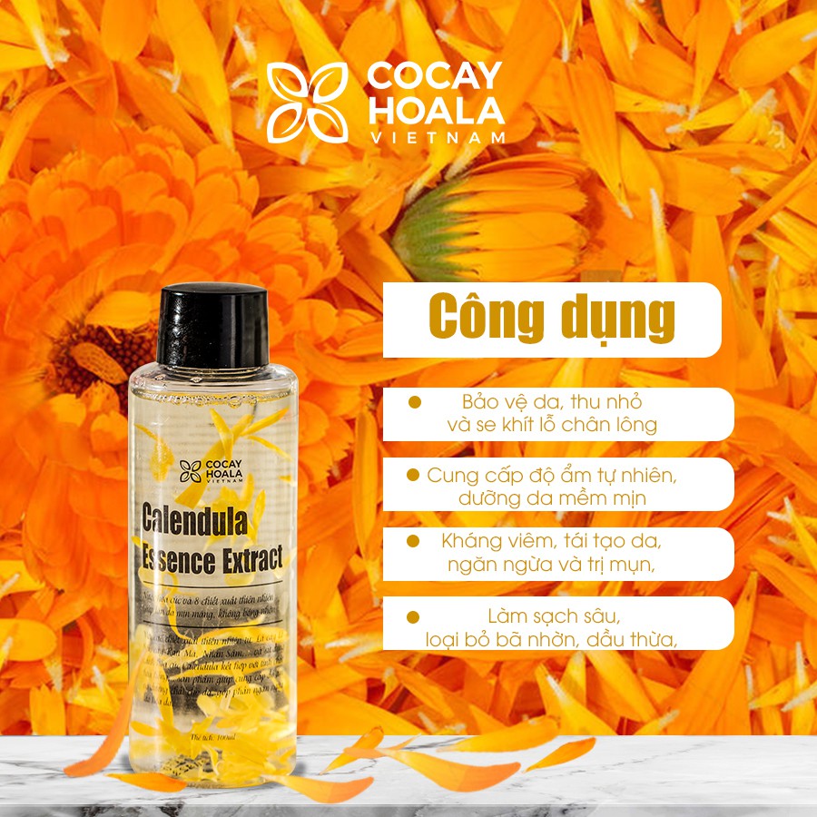 Nước thần hoa cúc 2in1 Cocayhoala se khít lỗ chân lông, trẻ hóa làn da sau 10 ngày Calendula Essence Extract 100ml