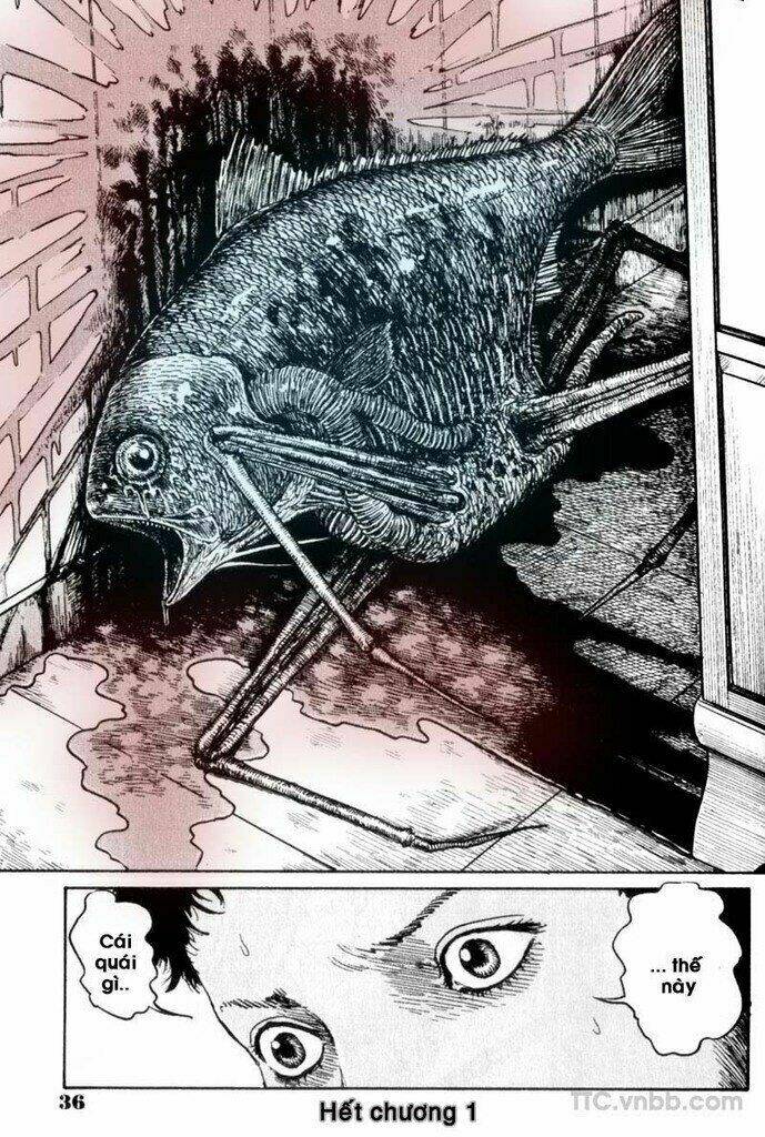 quái vật biển chapter 1 32