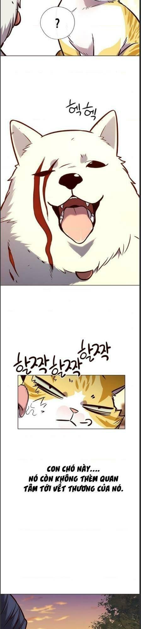 biến thân thành mèo chapter 162 4