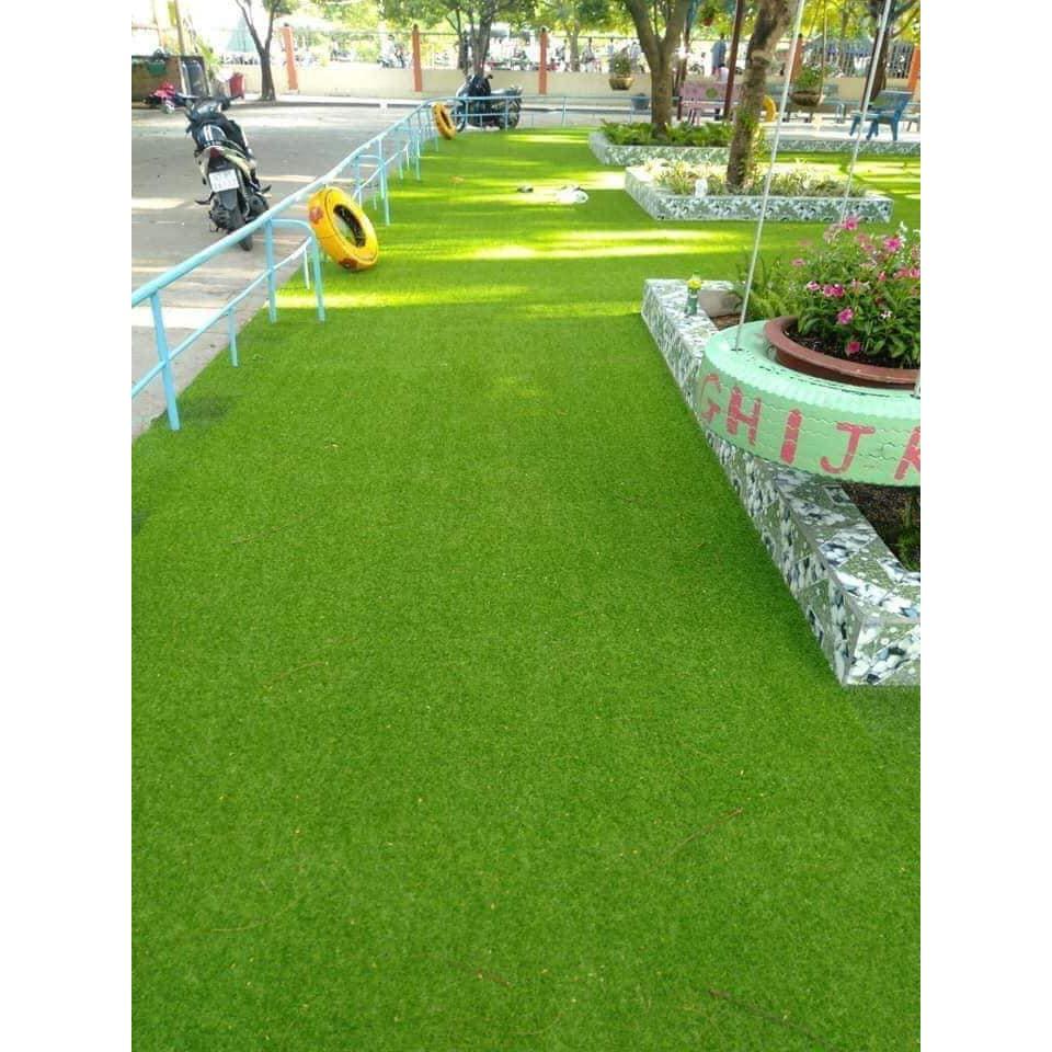 Combo 35 m2 thảm cỏ nhân tạo sân vườn sợi cỏ 2cm
