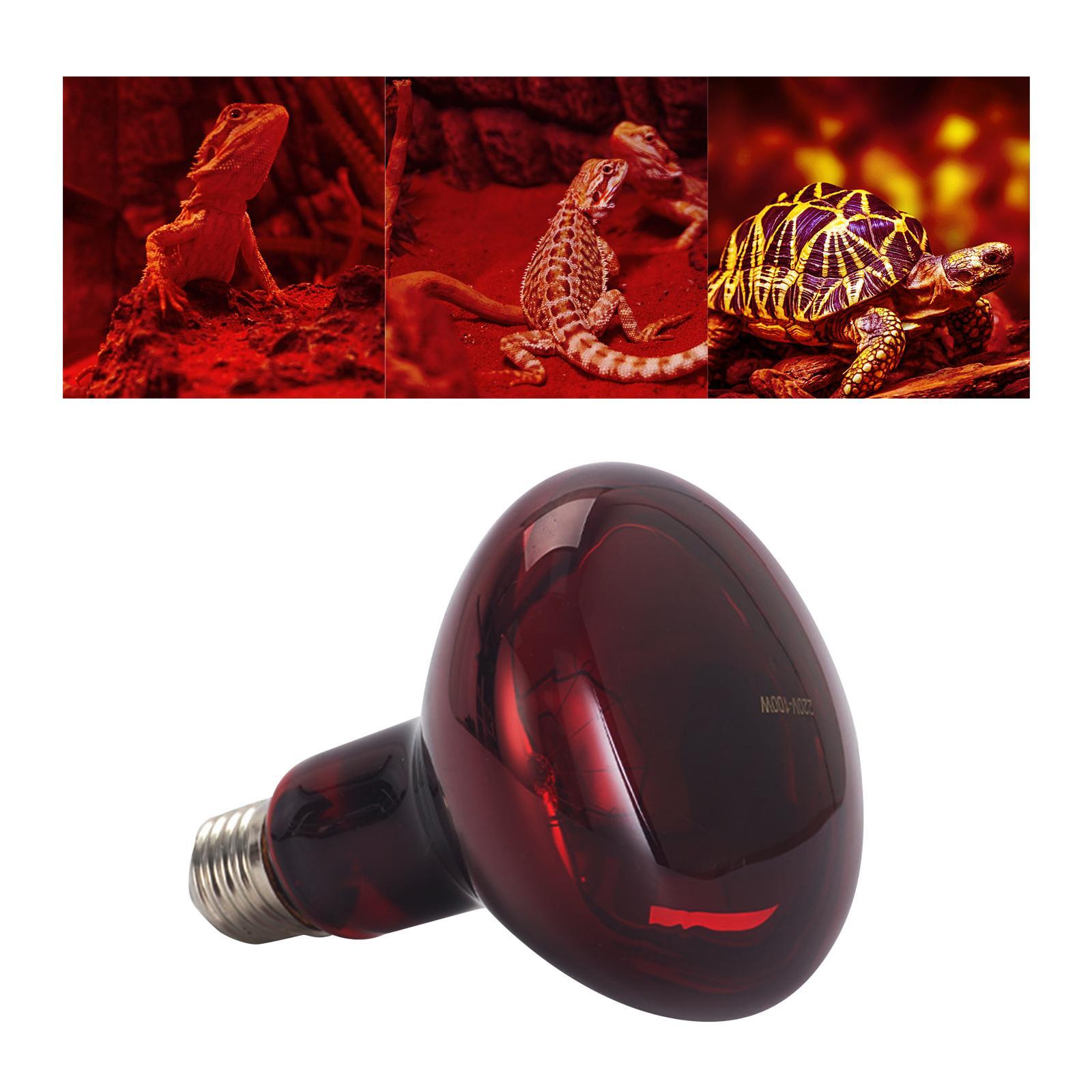 E27 Reptile Light Bulb Heating Lamp Hedgehogs Pet Supplies 100W Warm