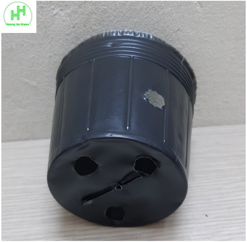 1 kg chậu nhựa mềm ươm cây 12x10 - bịch, túi bầu ươm cây 12x10; 1kg = khoảng 420-450 chiếc